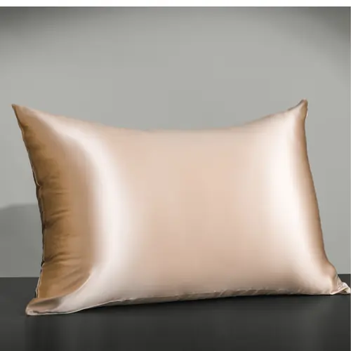 25mm 6A+ Mulberry Silk Pillowcase With Zipper