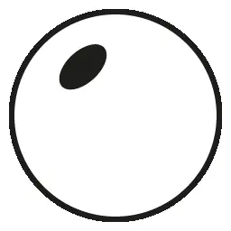 Gradient Polarized Lens