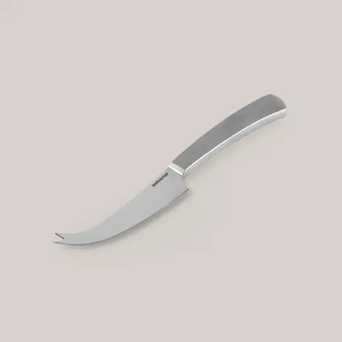 Barcelona Stainless Steel Universal Cheese Knife