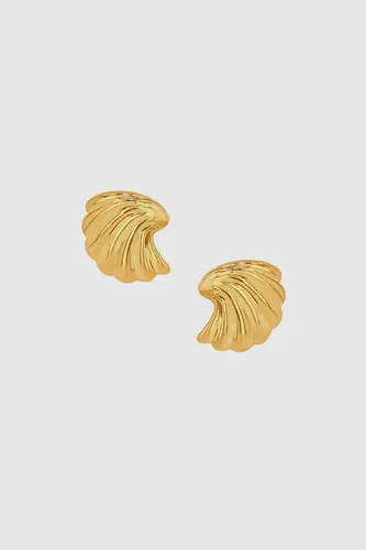 Curved Shell Earrings - Gold