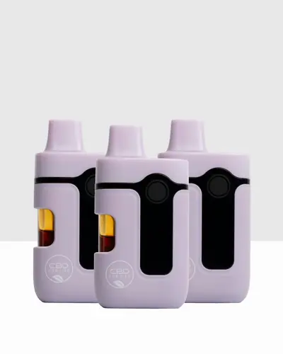 CBD Sleep Vape (3 Pack)