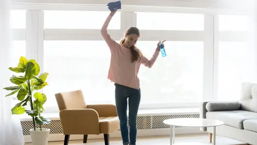 Natural Home Cleaning